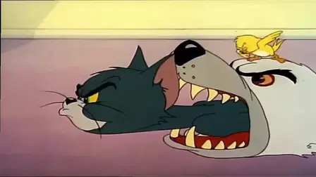 Gato enjaulado