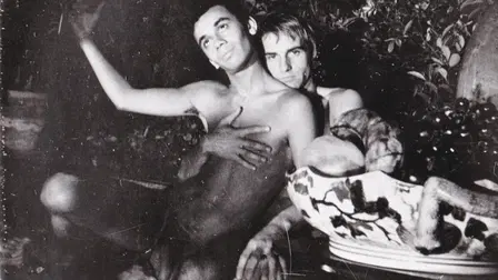 The Homosexual Century