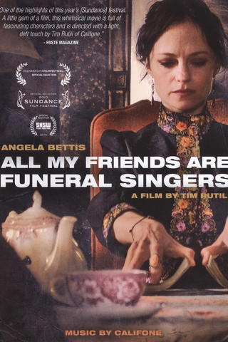 All My Friends Are Funeral Singers