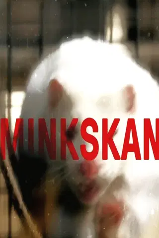 The Mink Scandal