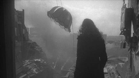 The Cranes Are Flying