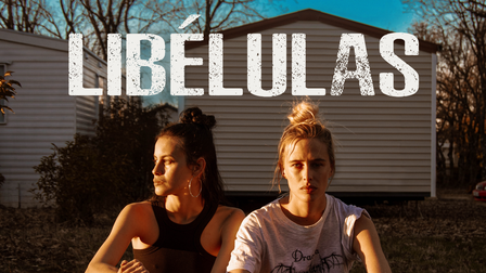 Libélulas
