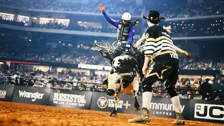The American Rodeo