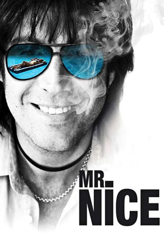 Mr Nice