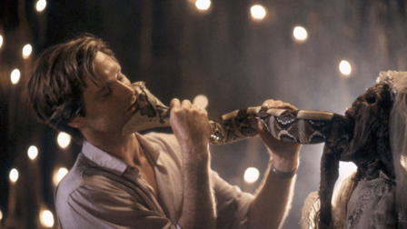 The Serpent and the Rainbow