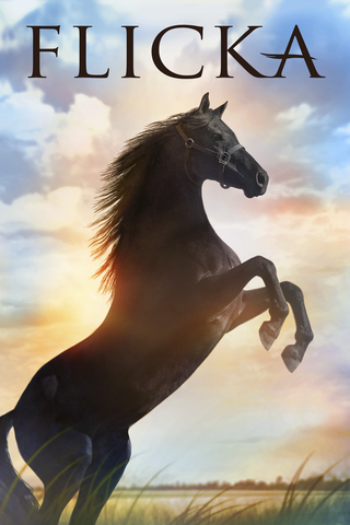 Flicka