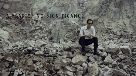 A Year of No Significance