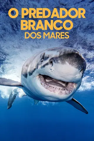 O Predador Branco dos Mares