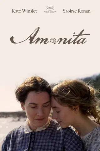 Amonita