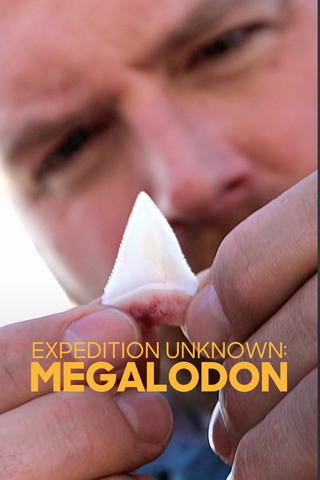 Expedition Unknown Megaladon