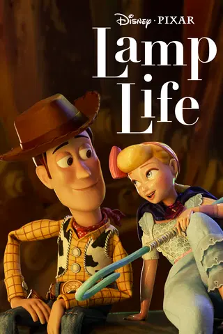 Lamp Life