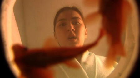 Shake, Rattle and Roll 2k5