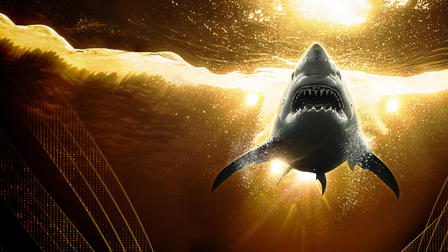 Shark Week: detrás de cámaras
