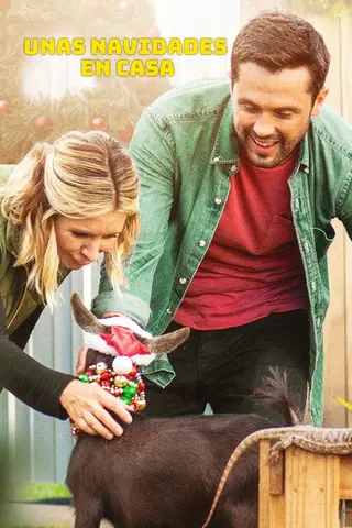 Unas navidades en casa