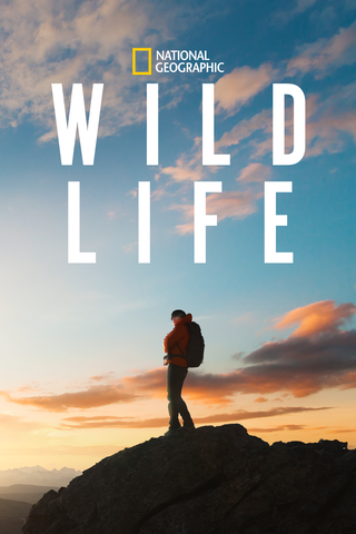 Wild Life