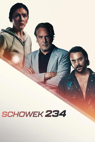 Schowek 234