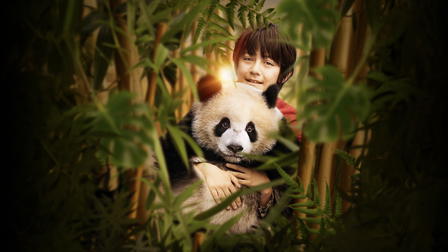 Moon le Panda