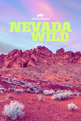 Nevada Wild