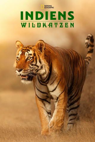 Die Wildkatzen Indiens