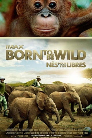 Nés pour être libres