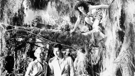 Island of Lost Souls