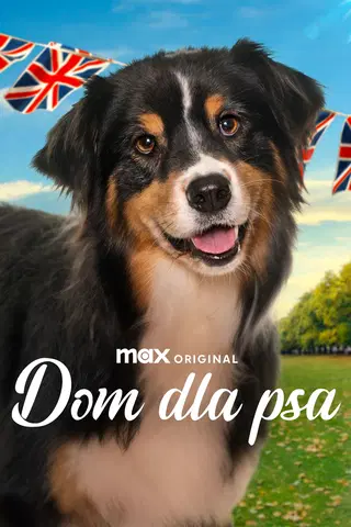 Dom dla psa