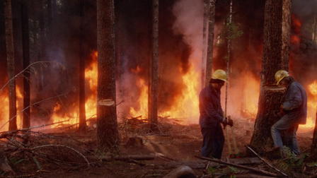Horizont in Flammen
