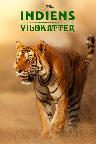 Indiens vildkatter