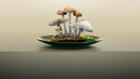 Death Cap: The Mushroom Murders