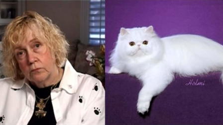 The Standard of Perfection: Show Cats