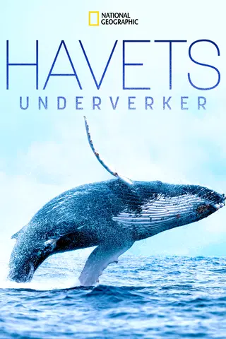 Havets underverker