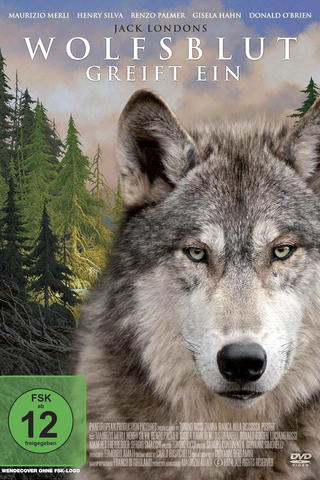 Wolfsblut greift ein