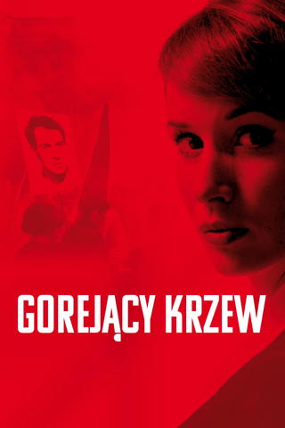 Gorejący krzew