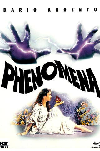 Phenomena