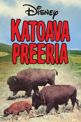 Katoava preeria
