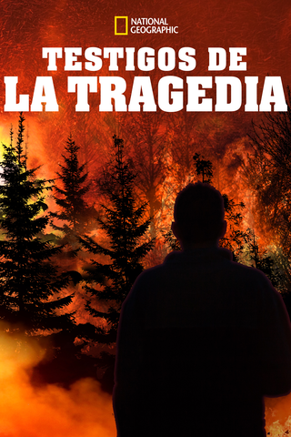 Testigos de la tragedia