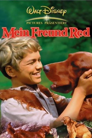 Mein Freund Red