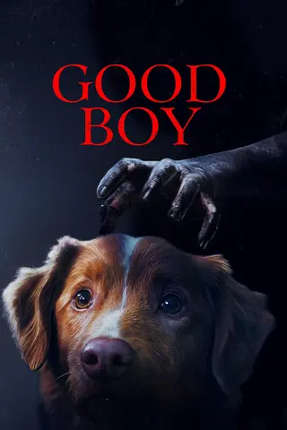 Good Boy