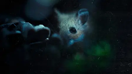 Nightmares of Nature