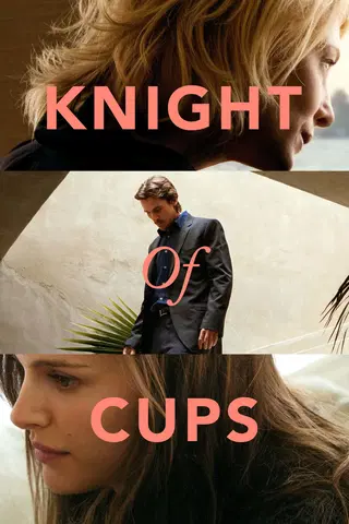 Knight Of Cups