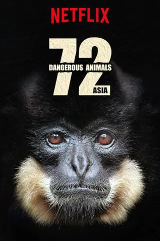 72 gefährliche Tiere: Asien