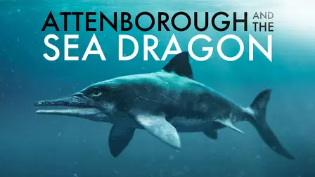Attenborough and the Sea Dragon
