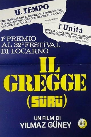Il gregge