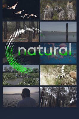 Natural