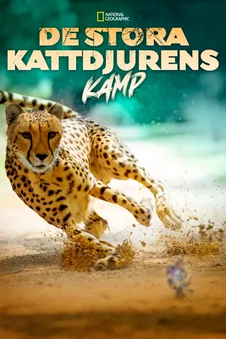 De stora kattdjurens kamp