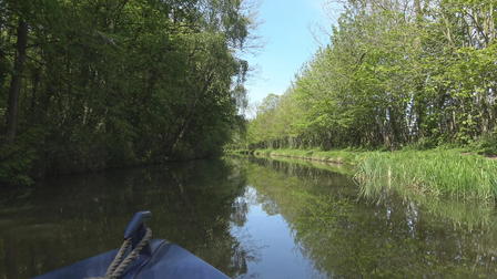 Cruising the Cut