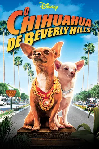 Chihuahua de Beverly Hills
