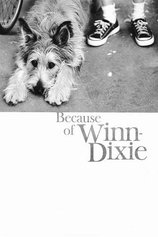 Dzięki tobie, Winn-Dixie