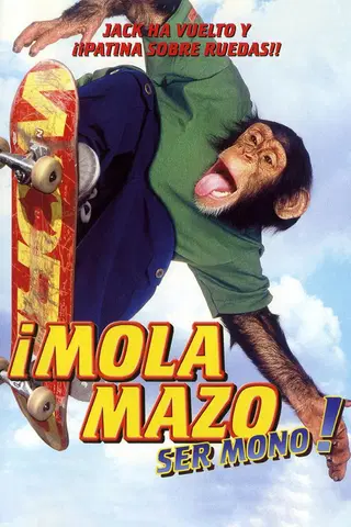 ¡Mola mazo ser mono!
