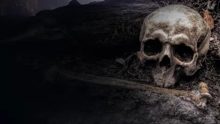 Bone Detectives